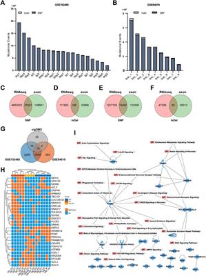 Identifying gene variants underlying the pathogenesis of diabetic retinopathy based on integrated genomic and transcriptomic analysis of clinical extreme phenotypes